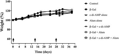 The Combination Vaccine Adjuvant System Alum/c-di-AMP Results in Quantitative and Qualitative Enhanced Immune Responses Post Immunization